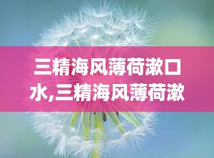 三精海风薄荷漱口水,三精海风薄荷漱口水——清新口气，守护口腔健康