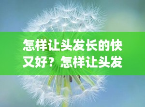 怎样让头发长的快又好？怎样让头发长快