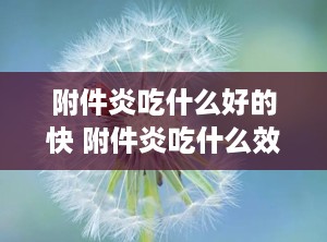 附件炎吃什么好的快 附件炎吃什么效果好