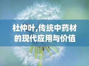 杜仲叶,传统中药材的现代应用与价值