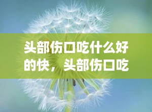 头部伤口吃什么好的快，头部伤口吃什么愈合快