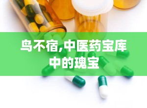 鸟不宿,中医药宝库中的瑰宝