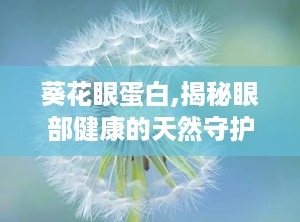 葵花眼蛋白,揭秘眼部健康的天然守护者