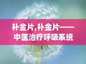 补金片,补金片——中医治疗呼吸系统疾病的良药