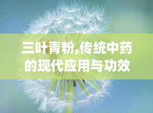 三叶青粉,传统中药的现代应用与功效解析