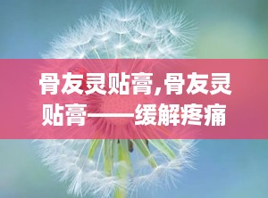 骨友灵贴膏,骨友灵贴膏——缓解疼痛，守护关节健康