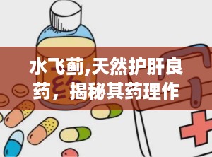 水飞蓟,天然护肝良药，揭秘其药理作用与临床应用