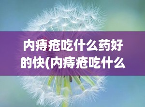 内痔疮吃什么药好的快(内痔疮吃什么药治最好效果最快)