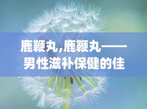 鹿鞭丸,鹿鞭丸——男性滋补保健的佳品