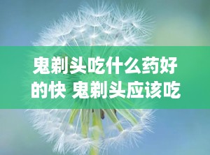 鬼剃头吃什么药好的快 鬼剃头应该吃点什么药