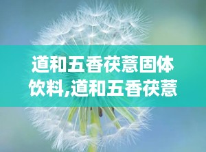 道和五香茯薏固体饮料,道和五香茯薏固体饮料——健康生活的便捷选择