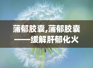 蒲郁胶囊,蒲郁胶囊——缓解肝郁化火，改善神经衰弱症状的良药