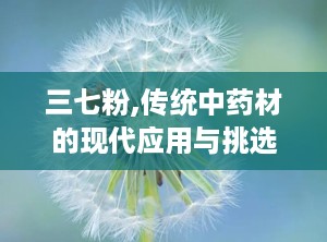 三七粉,传统中药材的现代应用与挑选指南