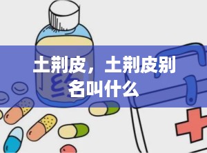 土荆皮，土荆皮别名叫什么