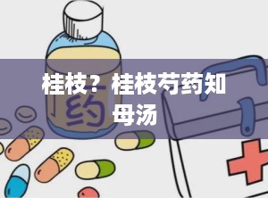 桂枝？桂枝芍药知母汤