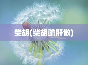 柴胡(柴胡疏肝散)