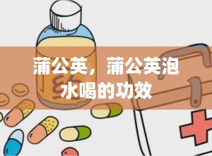 蒲公英，蒲公英泡水喝的功效