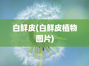 白鲜皮(白鲜皮植物图片)