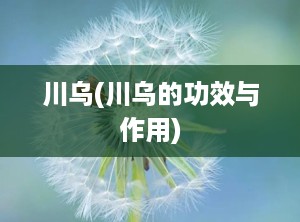 川乌(川乌的功效与作用)