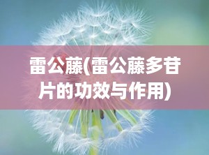 雷公藤(雷公藤多苷片的功效与作用)