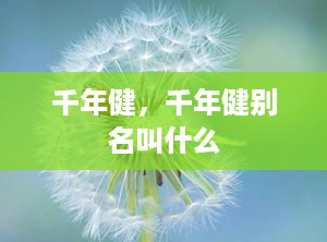 千年健，千年健别名叫什么