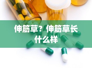 伸筋草？伸筋草长什么样