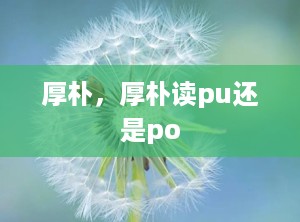 厚朴，厚朴读pu还是po