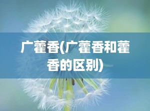 广藿香(广藿香和藿香的区别)