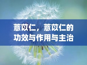 薏苡仁，薏苡仁的功效与作用与主治