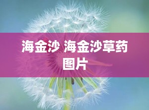 海金沙 海金沙草药图片