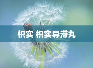 枳实 枳实导滞丸