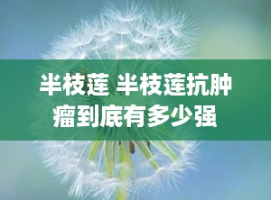 半枝莲 半枝莲抗肿瘤到底有多少强