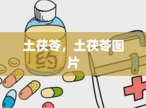 土茯苓，土茯苓图片