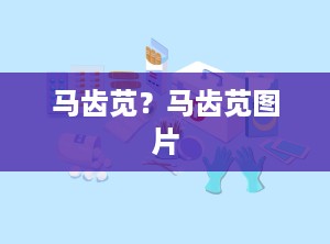 马齿苋？马齿苋图片