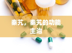 秦艽，秦艽的功能主治