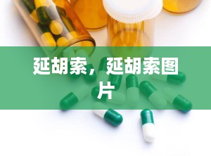 延胡索，延胡索图片