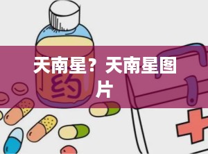 天南星？天南星图片