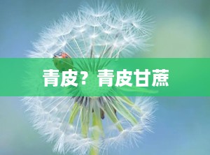 青皮？青皮甘蔗