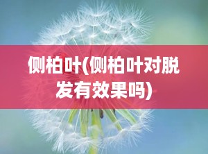 侧柏叶(侧柏叶对脱发有效果吗)