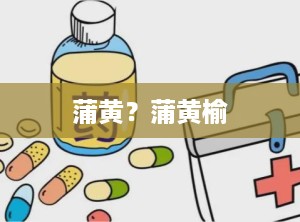 蒲黄？蒲黄榆