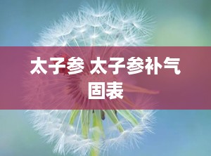 太子参 太子参补气固表