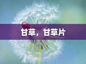 甘草，甘草片