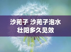 沙苑子 沙苑子泡水壮阳多久见效