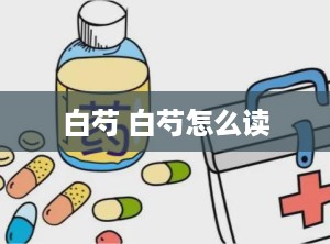 白芍 白芍怎么读