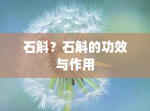 石斛？石斛的功效与作用