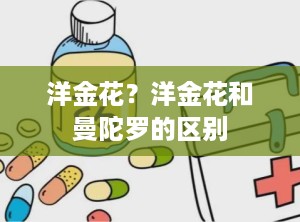 洋金花？洋金花和曼陀罗的区别