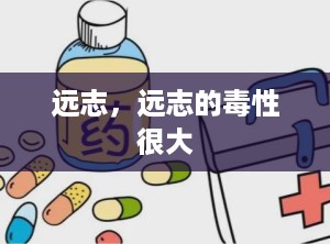 远志，远志的毒性很大