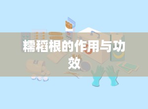 糯稻根的作用与功效