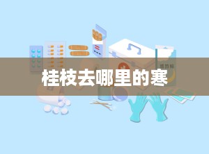 桂枝去哪里的寒