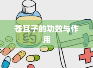 苍耳子的功效与作用